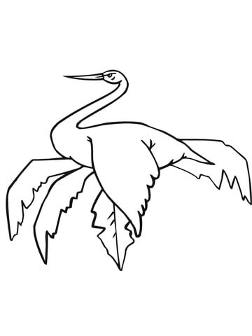 Sitting Stork Coloring Page